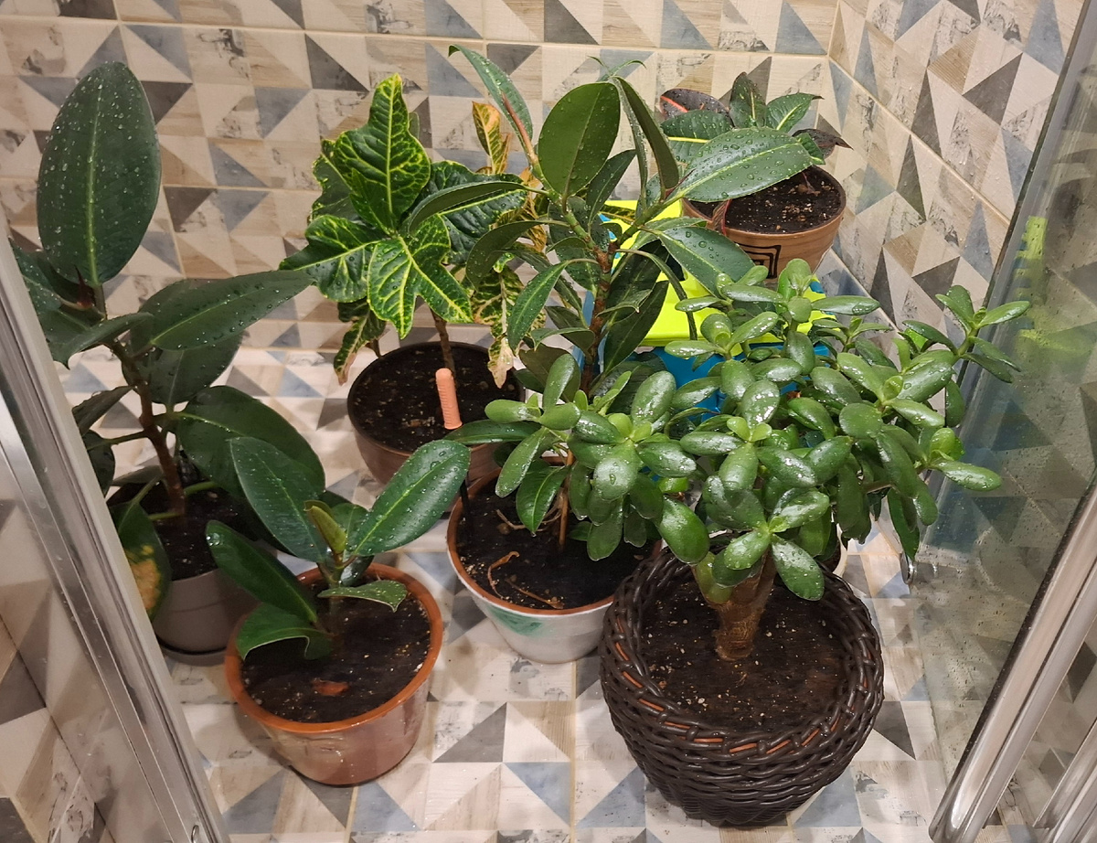 Устроила им душ.