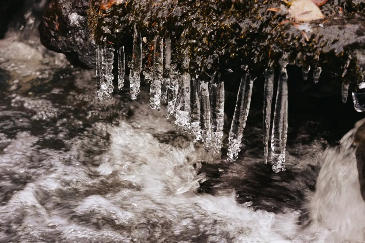    Фото: primamedia.ru Максим Левин