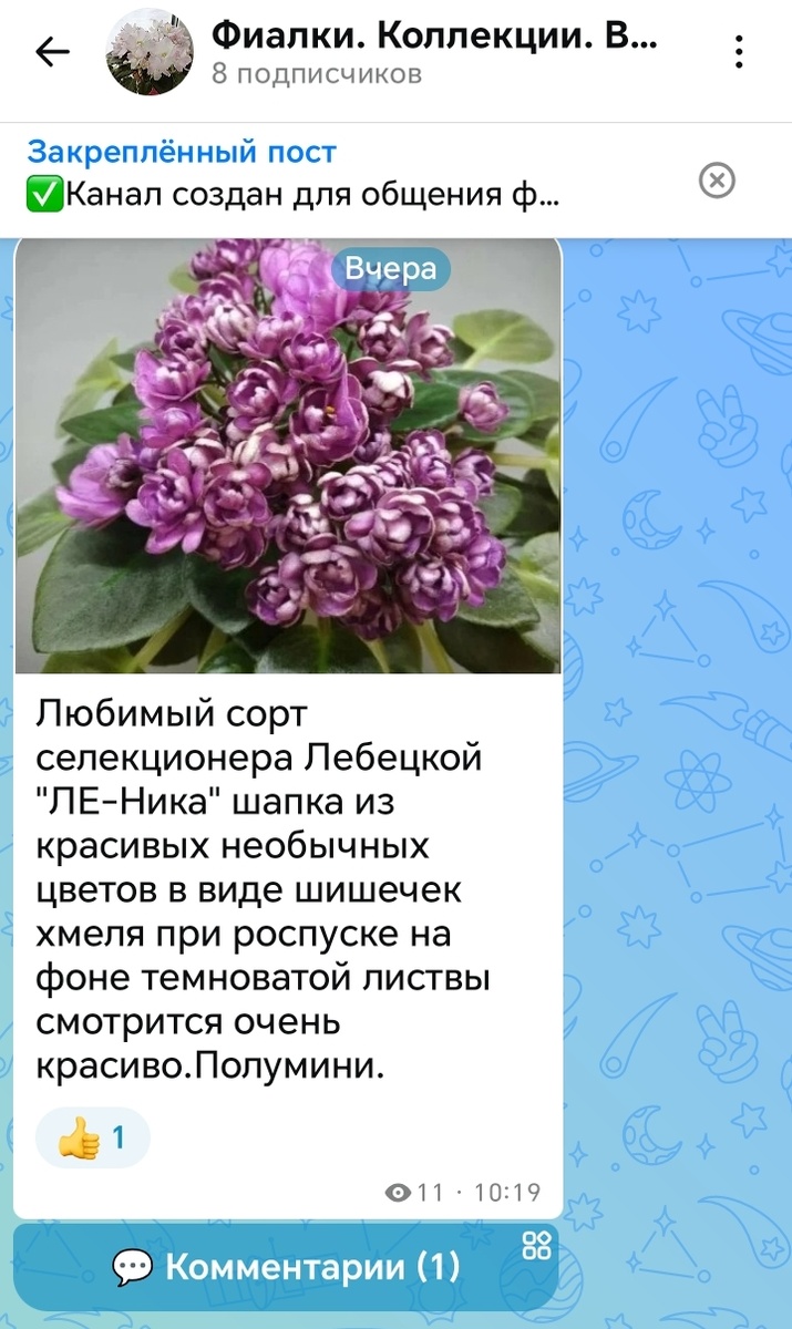 Комментарии подключены/скрин автора статьи и канала в мах