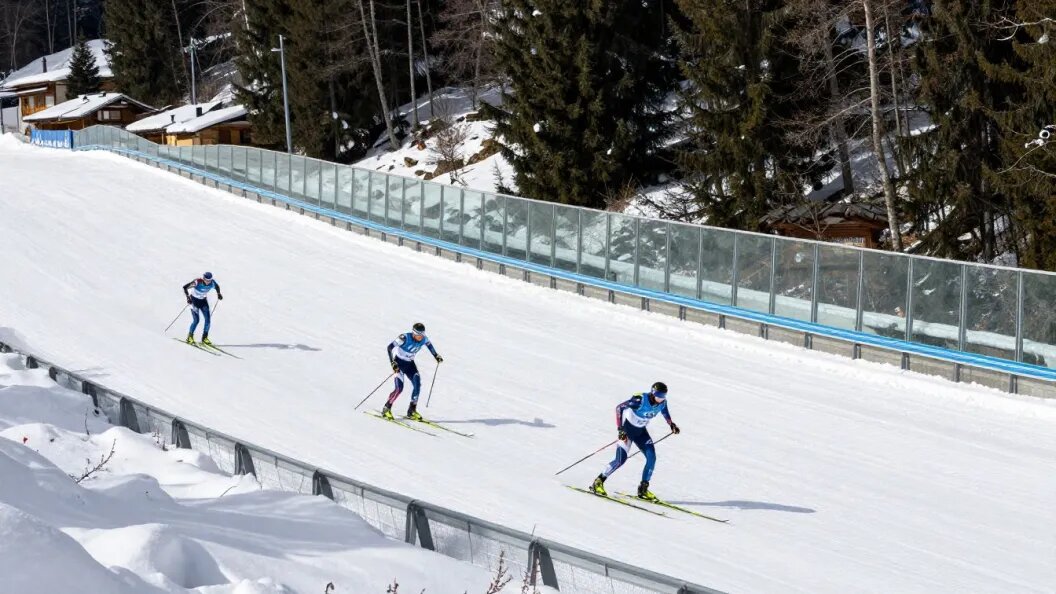    КОЛЛАЖ ЦАРЬГРАДА