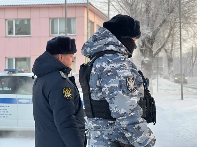     Пристав из Зеленогорска нашла должника, заказав у него услугу «отогрев авто»