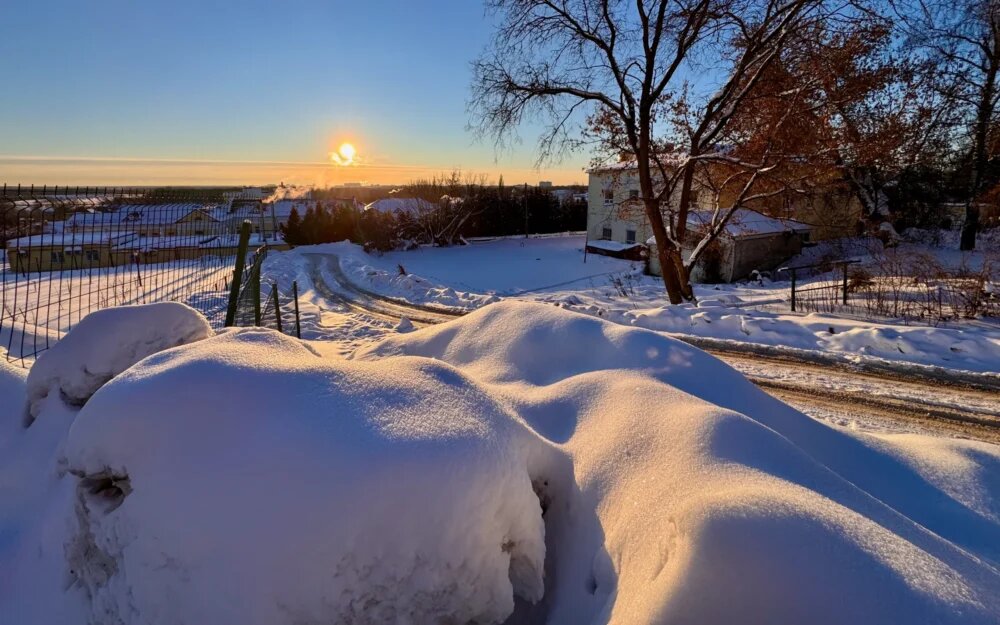    Фото: «Брянские новости»