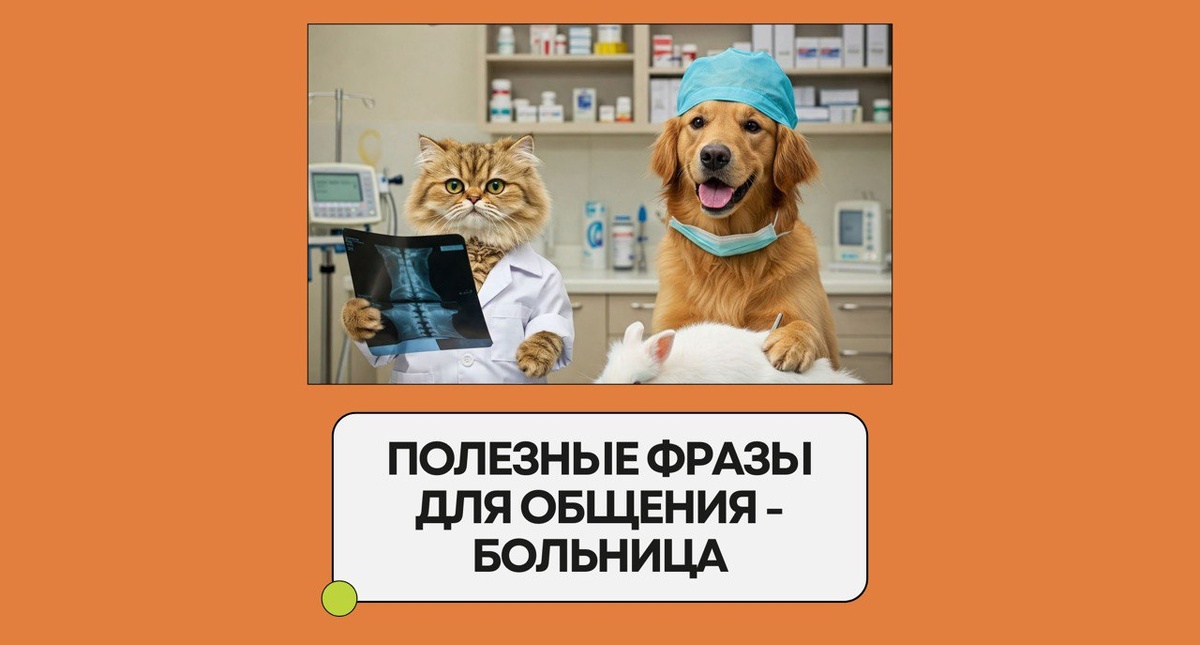 Изображение: Family English