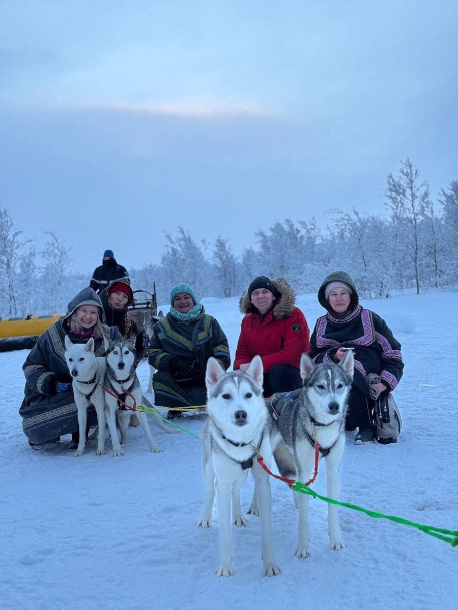 Хаски на Кольском
