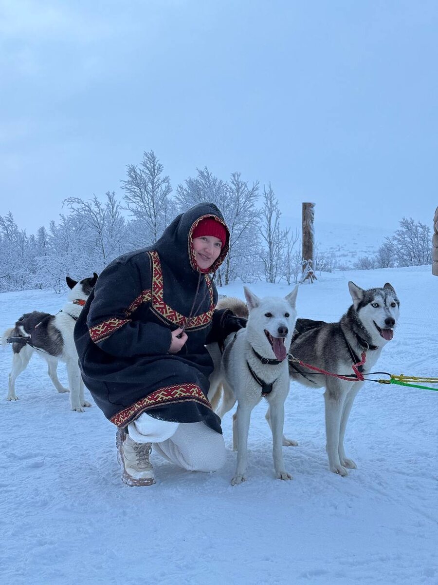 Хаски на Кольском