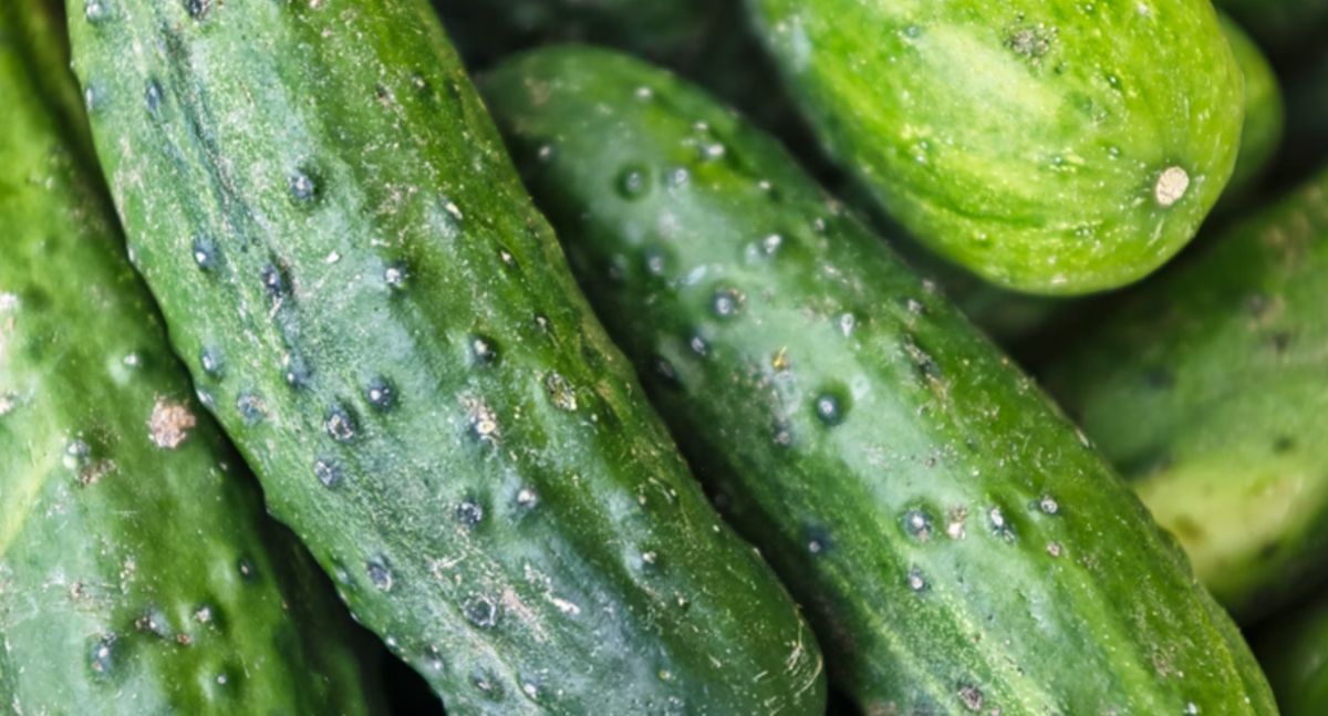     Eric Prouzet/Unsplash