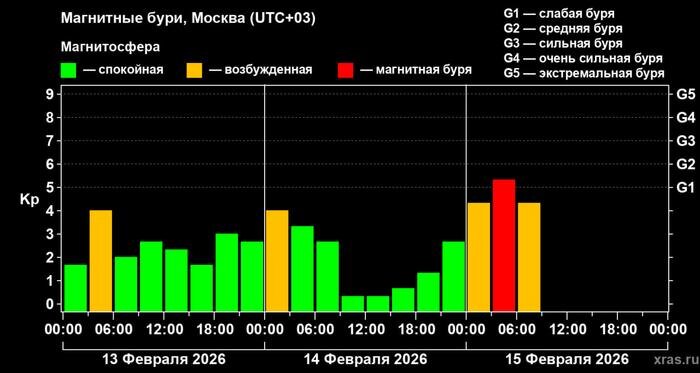 На Земле началась вторая магнитная буря февраля. Фото © Telegram / Лаборатория солнечной астрономии (XRAS)