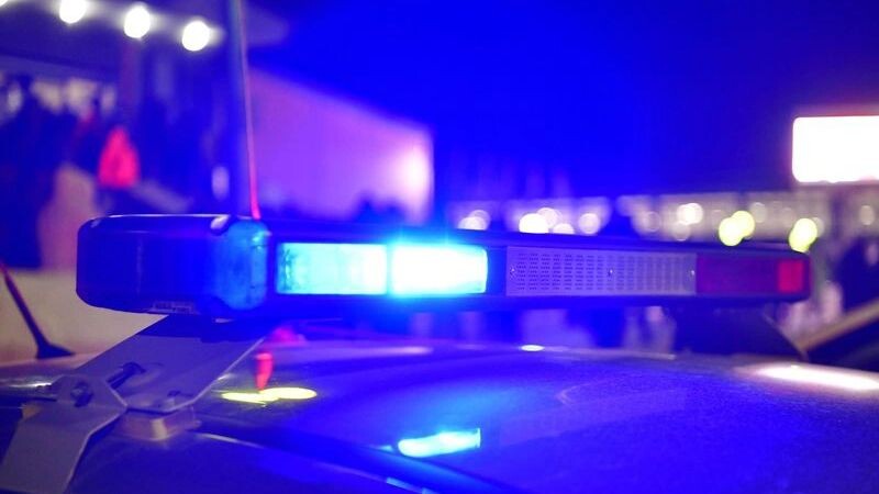    Фото: Андрей Ткачев/«Ямал-Медиа»