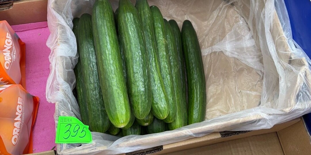Новые яйца. Красноярские огурцы стали одними из самых дорогих в России