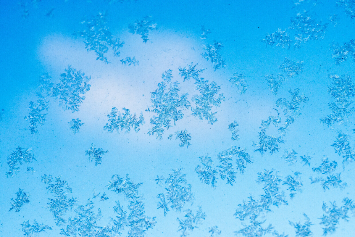 Олег Золото/«Вечерний Санкт-Петербург»