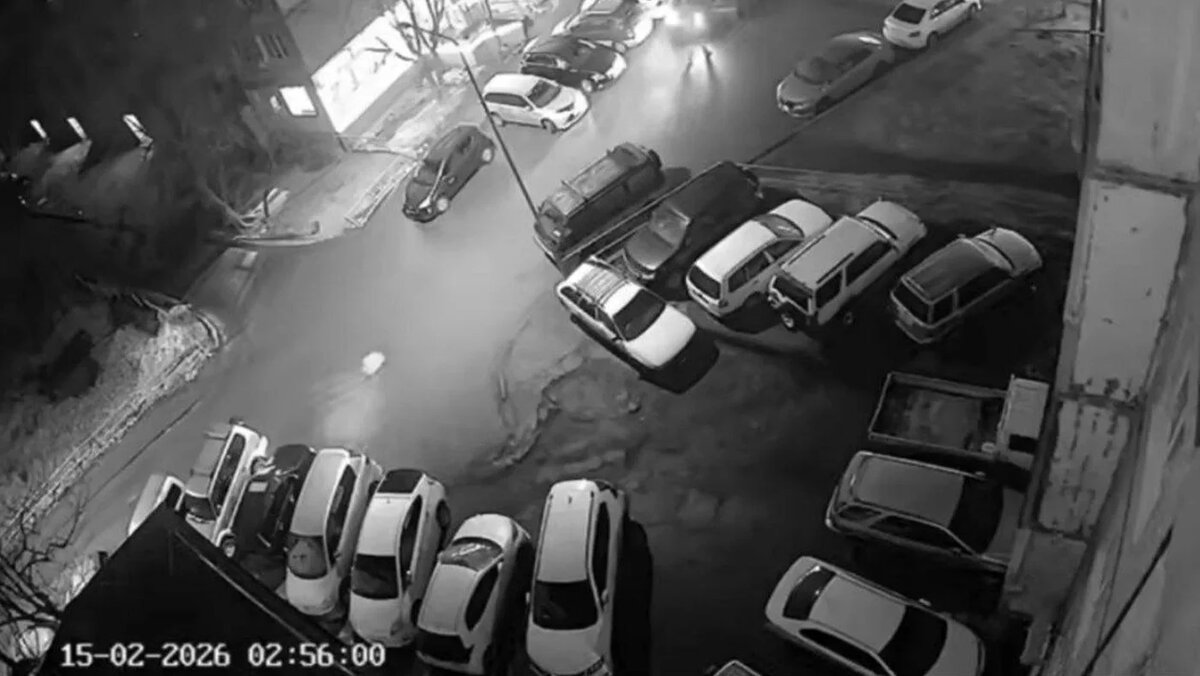   @mvdvladivostok / Telegram