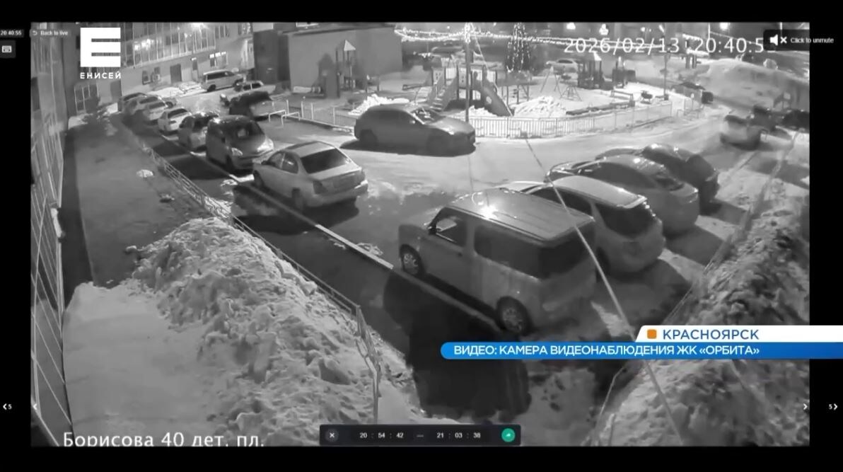     В красноярском Студгородке женщина выбросила с 14 этажа собаку и двух кошек