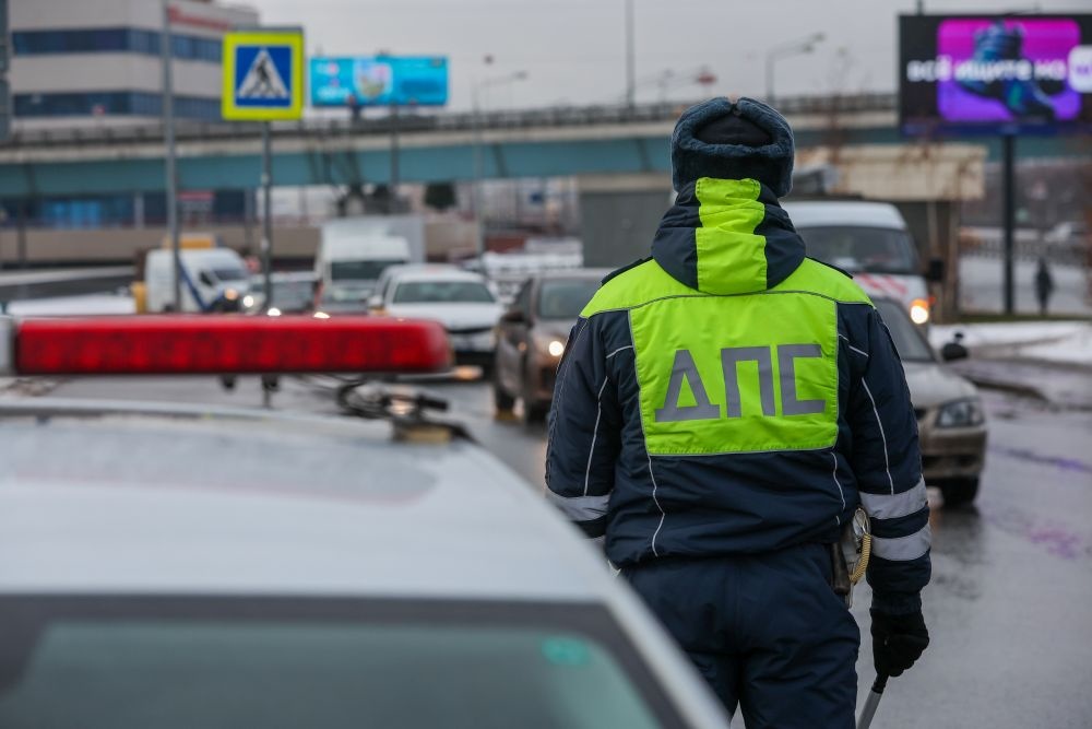    Алексей Белкин/NEWS.ru/ТАСС