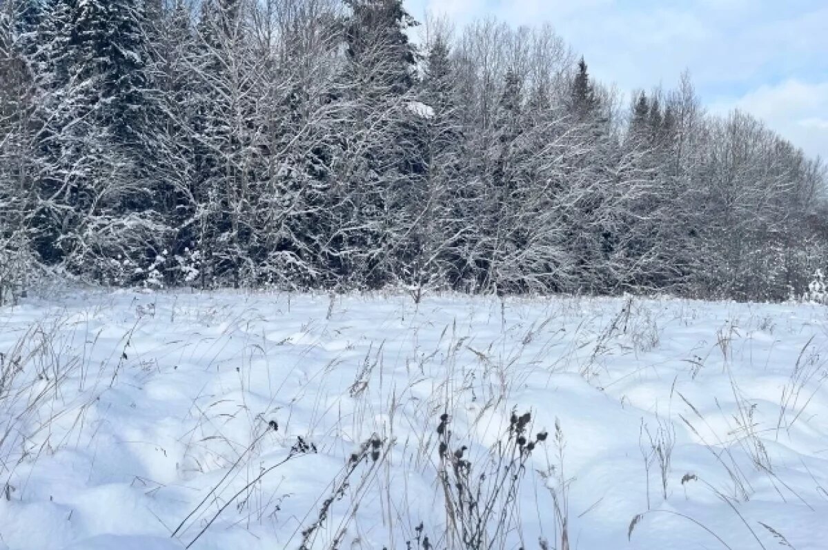    В Туле 16 февраля ожидается снегопад и порывистый ветер