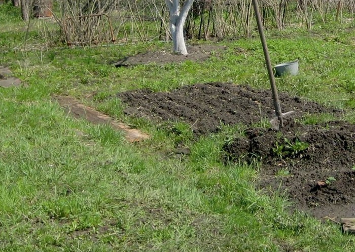 Тихая война: как прогнать вредителей с участка весной и не отравить землю