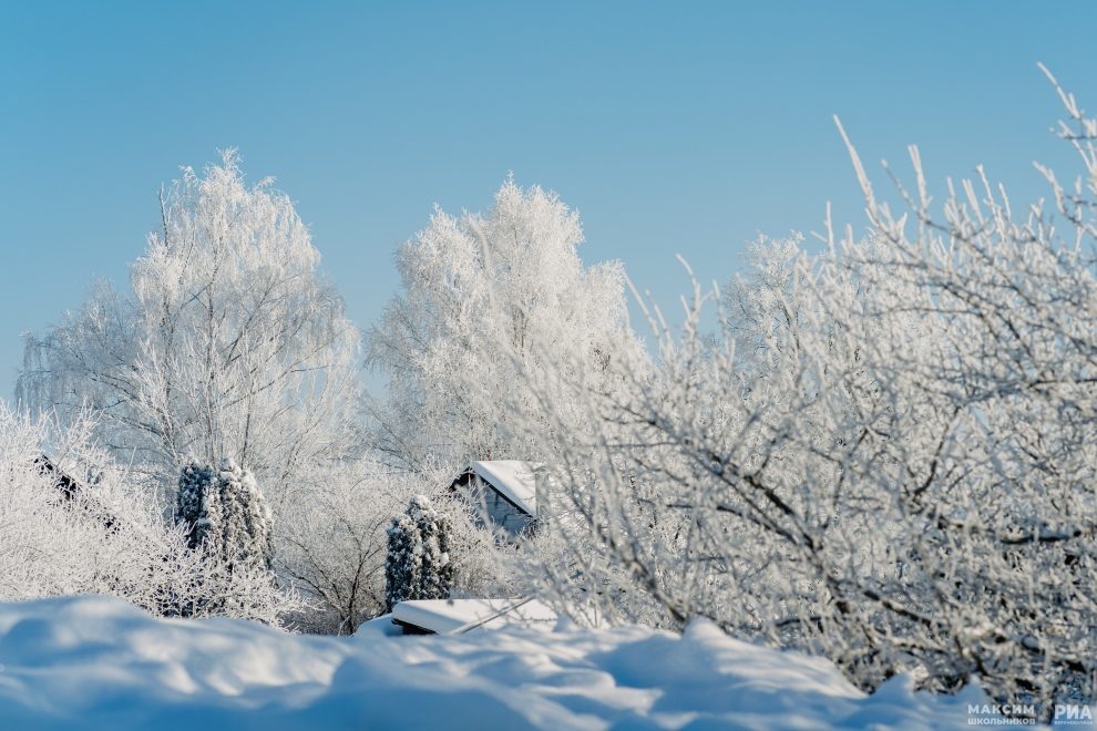 Фото: Максим Школьников/РИА Верхневолжье