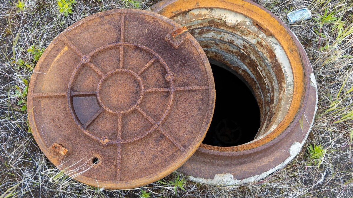    Фото: Федор Воронов/«Ямал-Медиа»