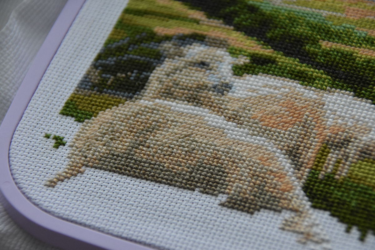 Фото автора, февраль 2026 год.