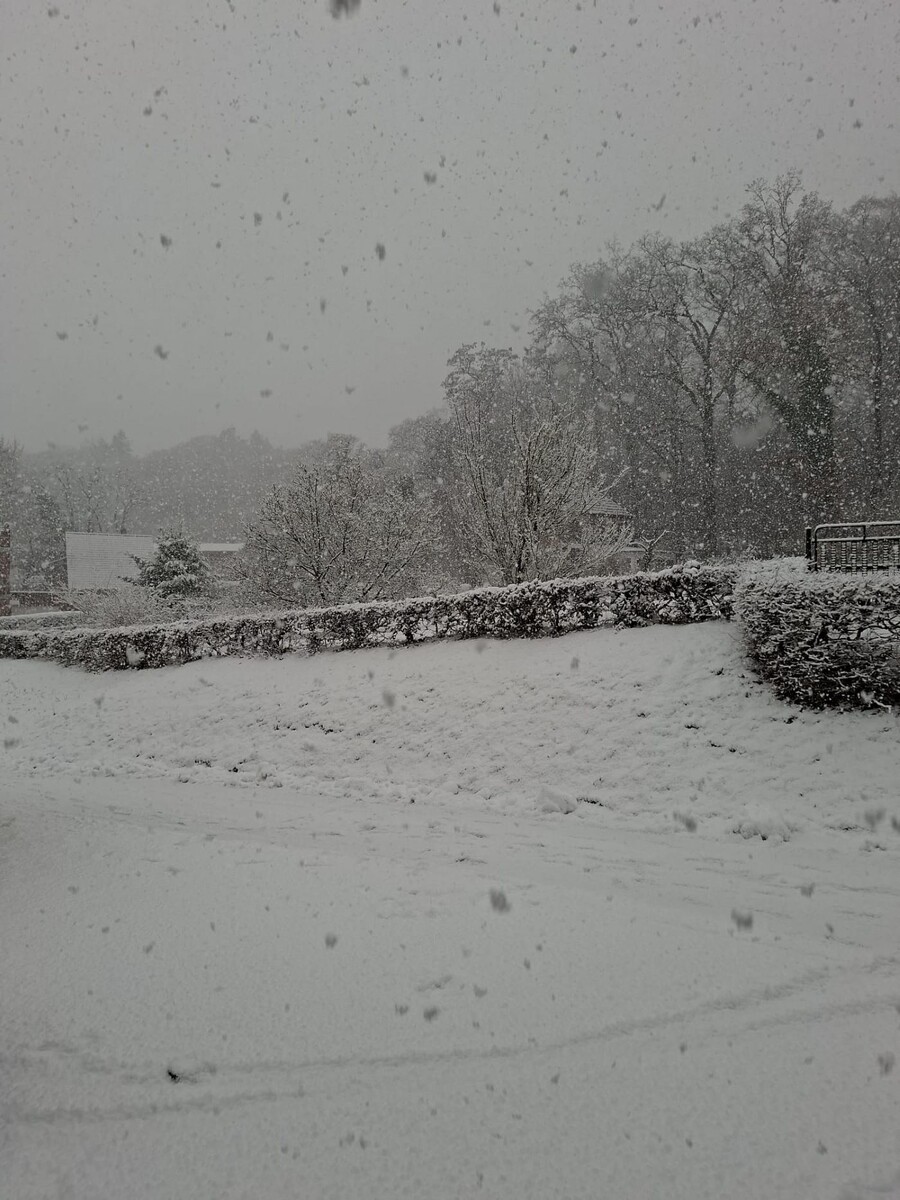 Зима в СНТ, декабрь 2025 год