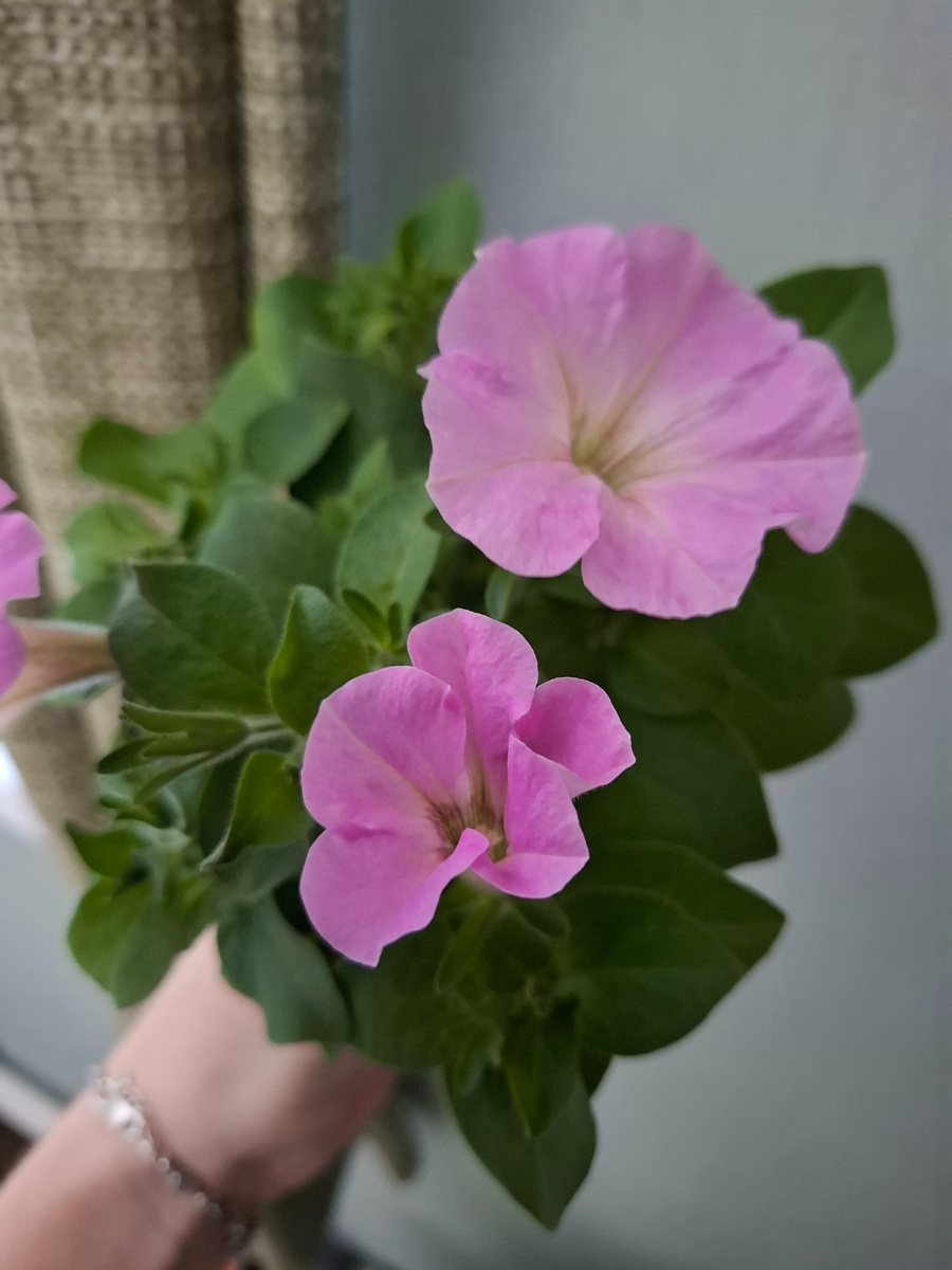 Два месяца с посева