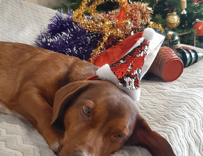 Как прошел мой день: одно воскресенье и много приятных мини-событий в нем 👇!..