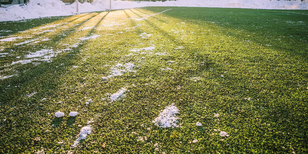 Как оживить газон весной: пошаговый план восстановления после зимы