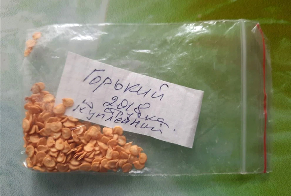 семена горького перца 2018 года, мамины 