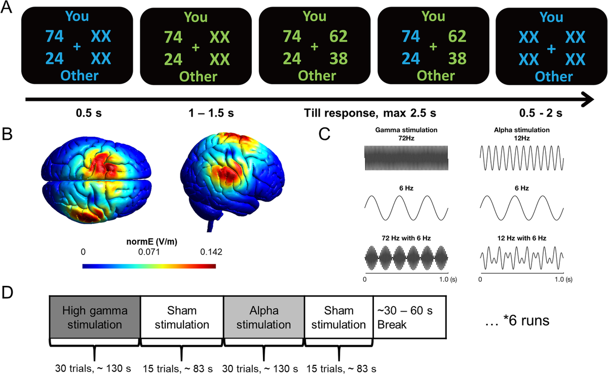    Усиление фазовой связи гамма-диапазона фронто-париетальной области повышает альтруистическое поведение человека.