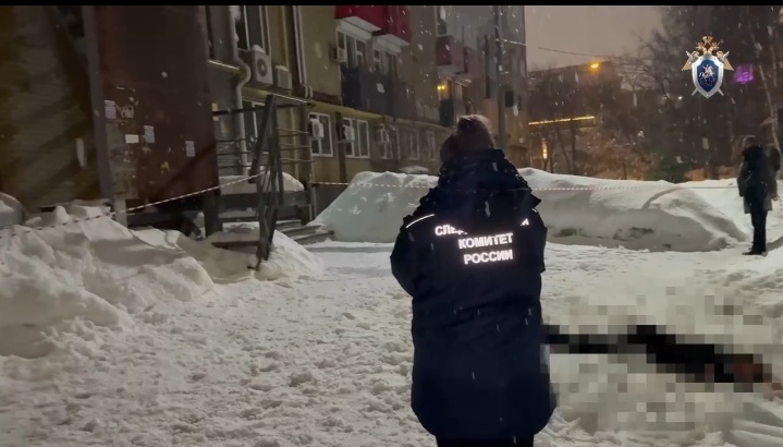    В Нижнем Новгороде 19-летняя девушка погибла из-за падения наледи с крыши