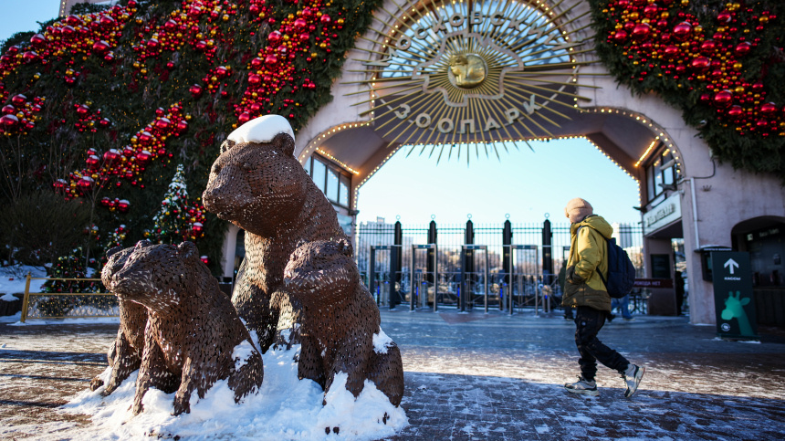    Фото: ИЗВЕСТИЯ/Сергей Лантюхов