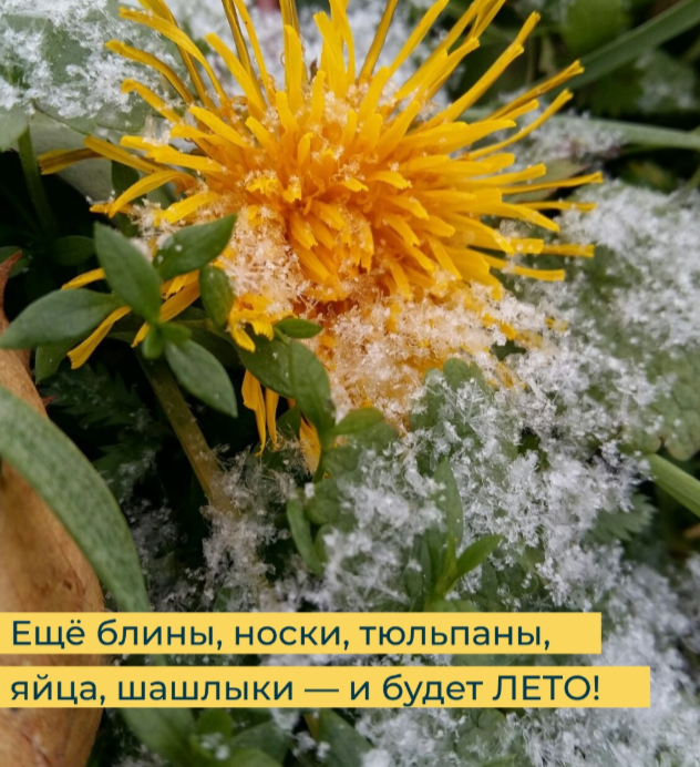 какая жизнь - такие и картинки в калейдоскопе :)