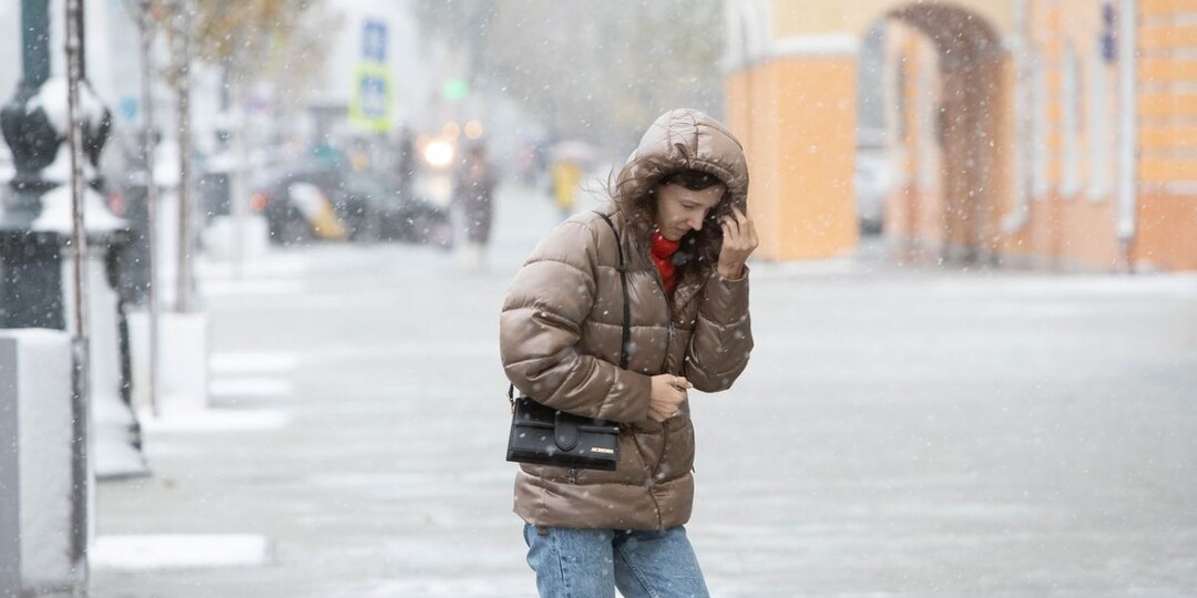 Воронежская область в понедельник столкнется с сильными осадками и метелью