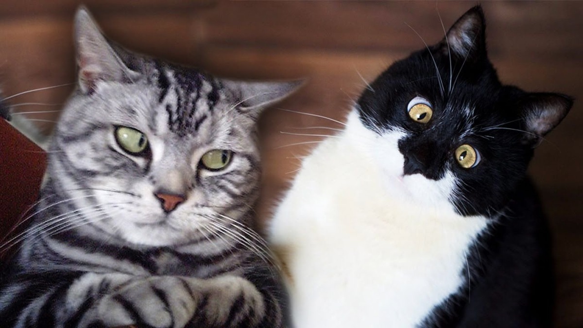 Фотография из интернета