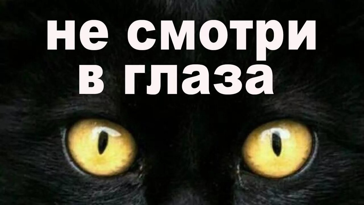 Фотография из интернета