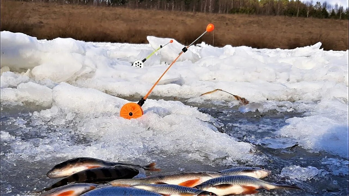 Зимняя донка