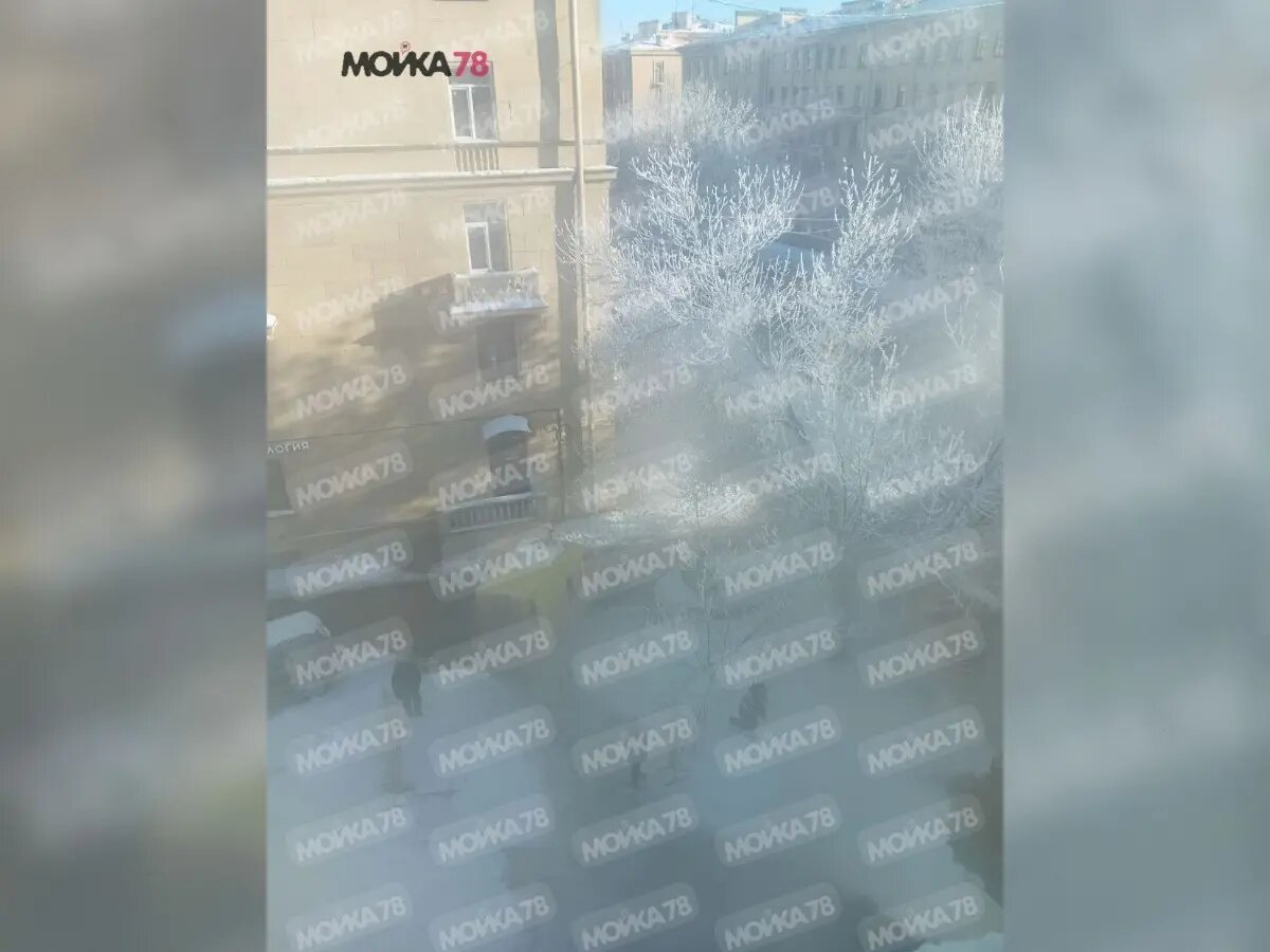    Фото: читатель Мойки78