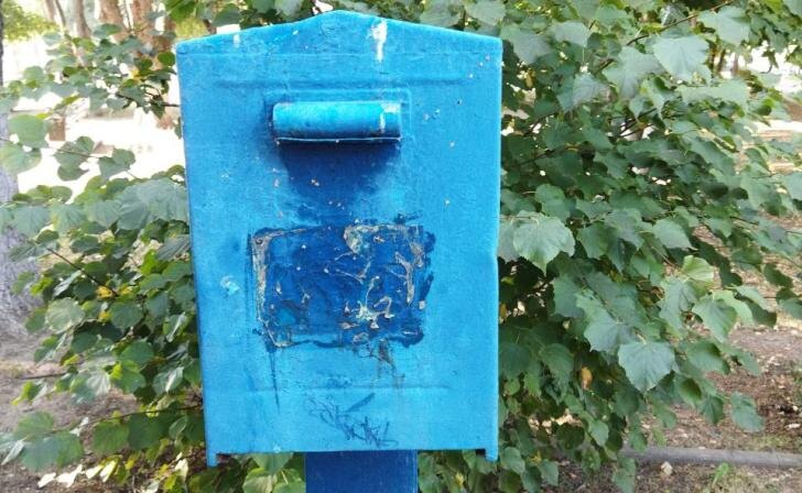    Фото "Курских известий"