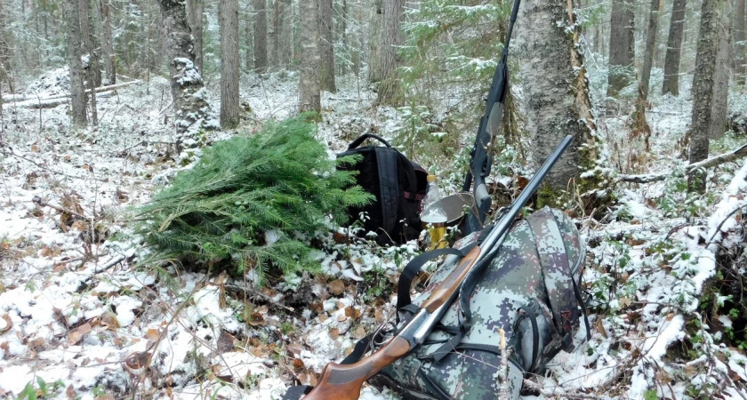    Фото: Вячеслав Вольгин