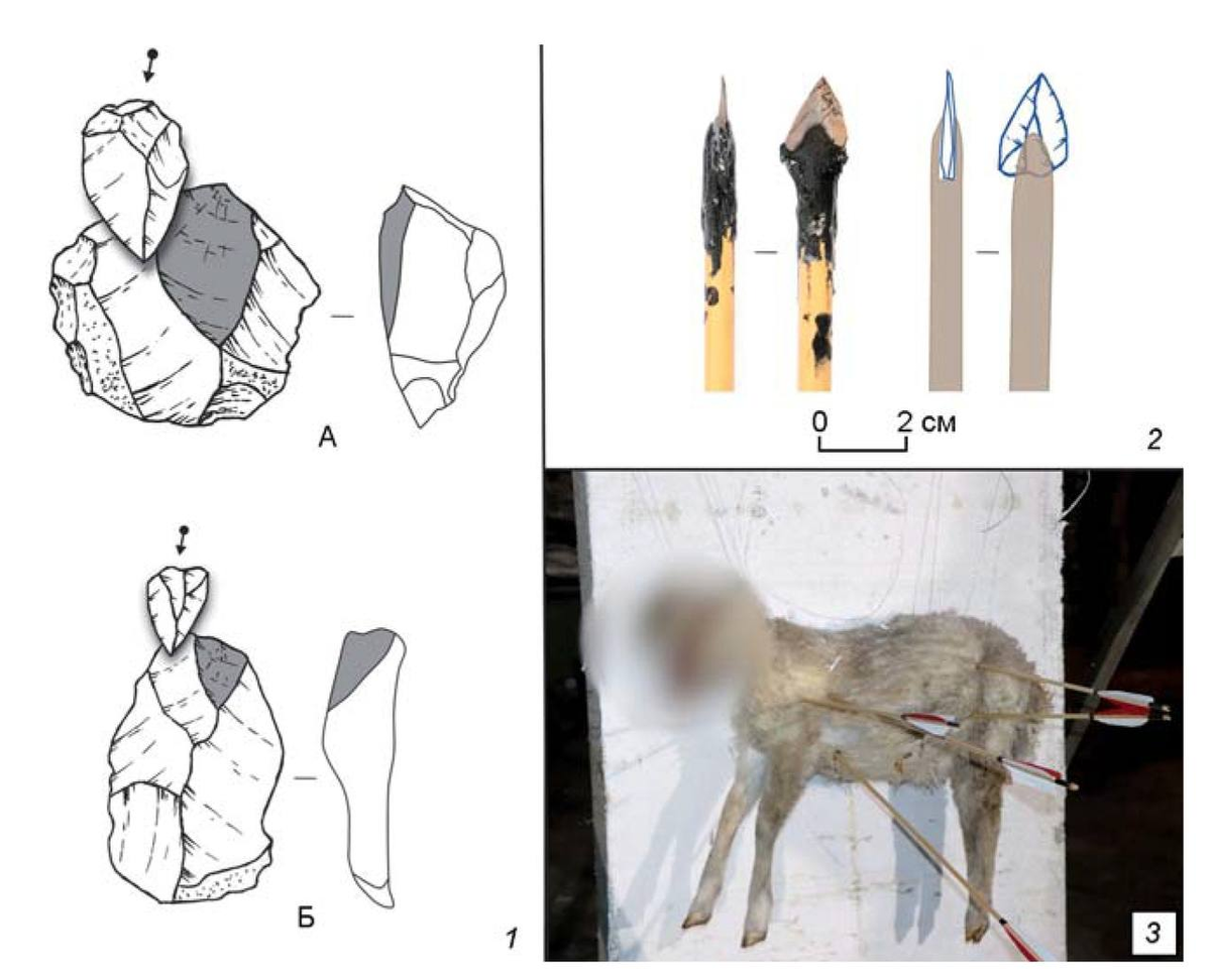 Основные этапы эксперимента