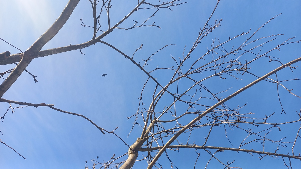 Все фото в статье сделаны автором и принадлежат ему на условиях авторского права ©