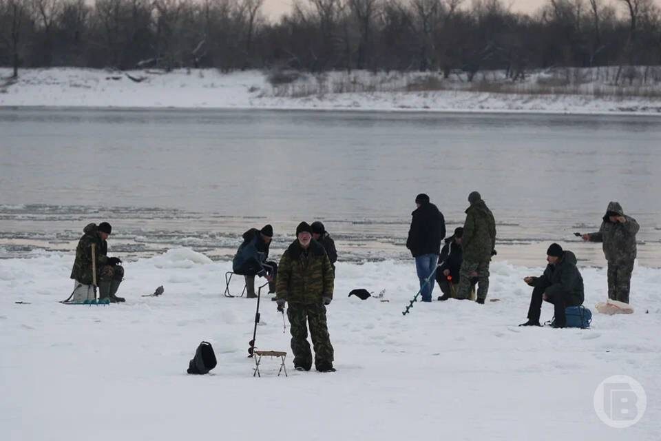    Фото: Дмитрий Рогулин / "Городские вести"