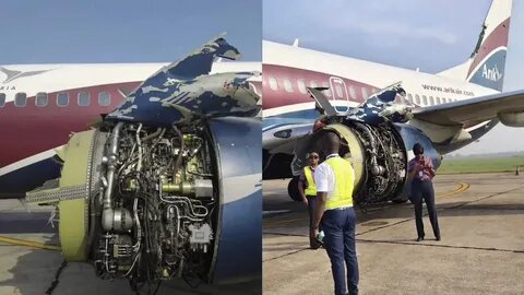 Удачно приземлились. фото: яндекс.