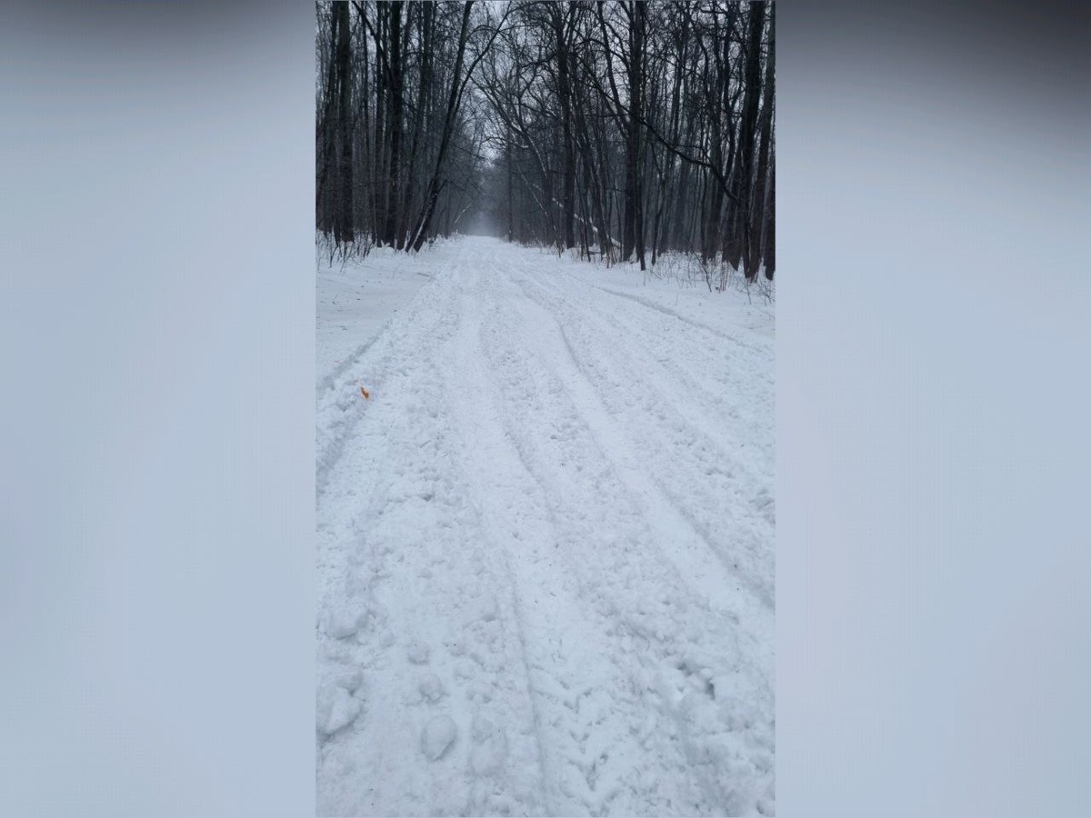     Фото: СОК Олимпик Воронеж