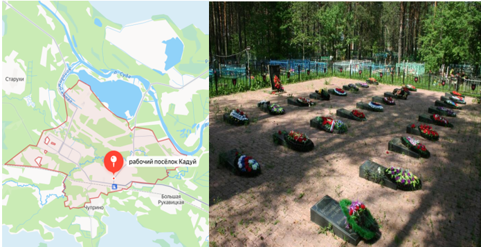 фото в свободном доступе