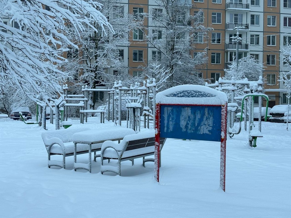 Фото: Neva.Today