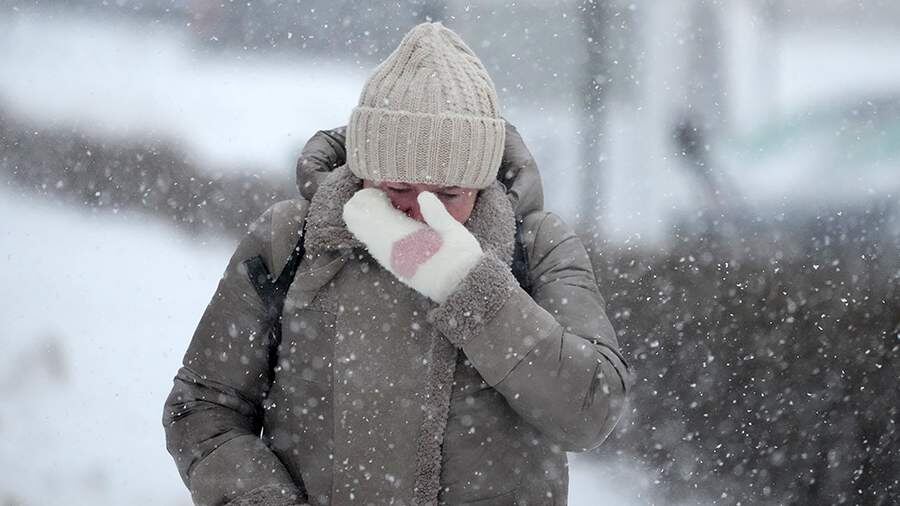    Фото: ИЗВЕСТИЯ/Дмитрий Коротаев