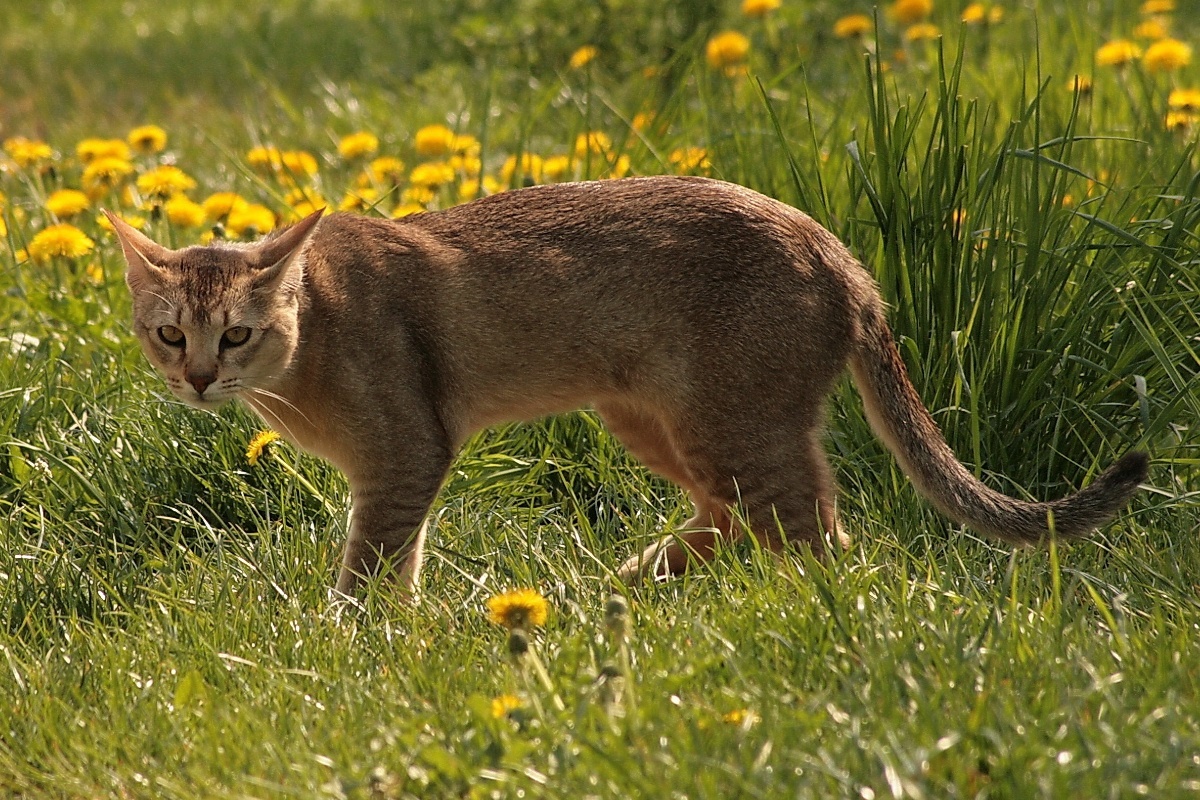 Фото с сайта: https://dzen.ru/a/Ztq_2cFRJT5GYuLS