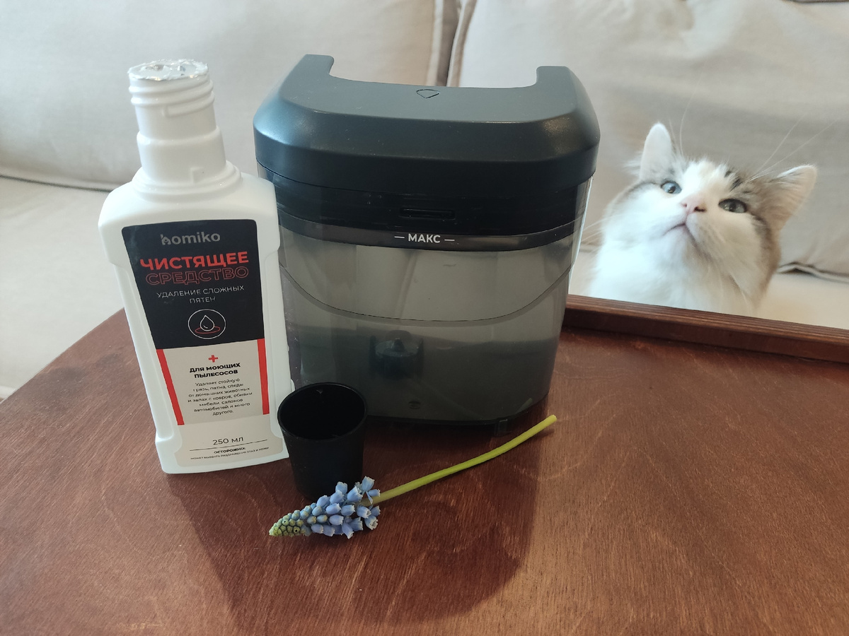 Любопытство котов подчеркивает хозяйское нетерпение устроить новому агрегату тест-драйв