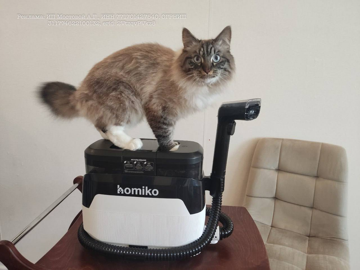 Пылесос по размерам вполне сопоставим... с котом, регулярно "уделывающим" собой мебель