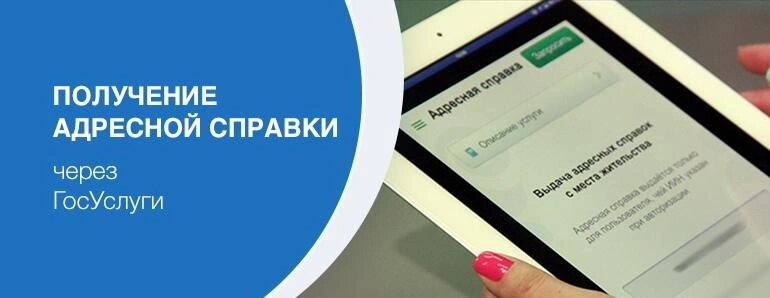    Фото: открытый источник